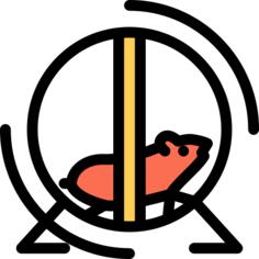 Hamster