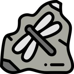 Fossil