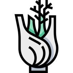 Fennel