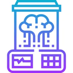 Brain