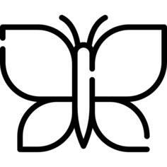 蝴蝶