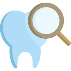 Tooth