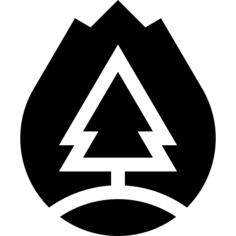 Forest fire