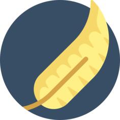 Feather