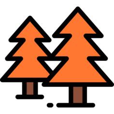Pines