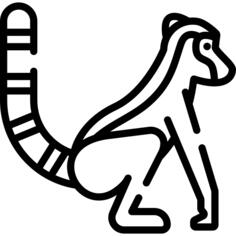 狐猴