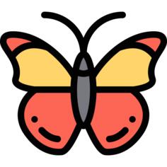 蝴蝶
