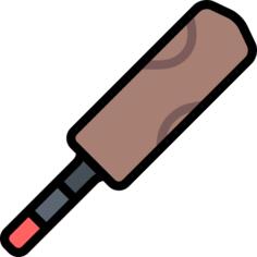Cricket bat