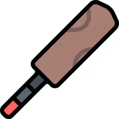 Cricket bat