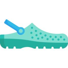 Shoe