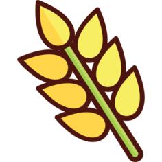 小麦