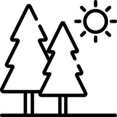 Trees