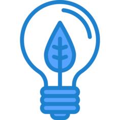 Bulb