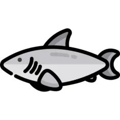 Shark