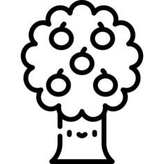 Apple tree