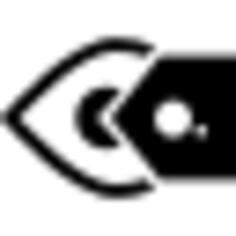 Google glasses
