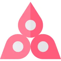 Chakra