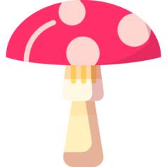 蘑菇