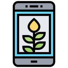 Smartphone