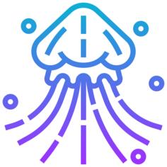 海蜇