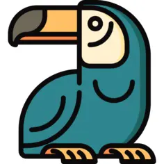 Toucan