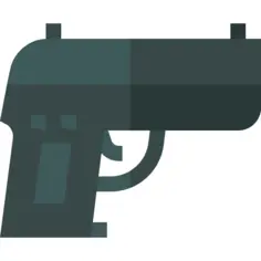 Gun