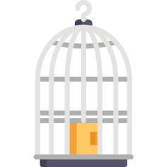 Bird cage