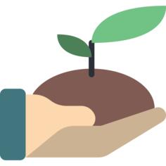 Sprout