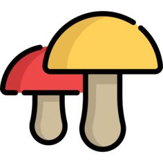 蘑菇