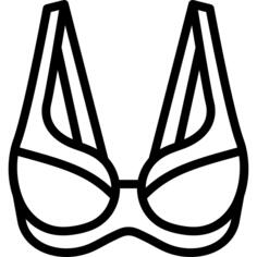 Brassiere