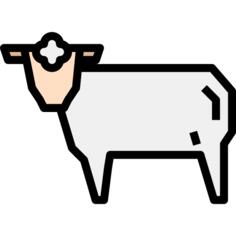 Lamb