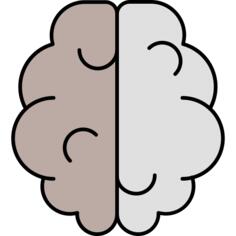 Brain