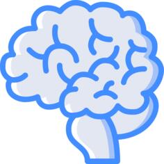 Brain