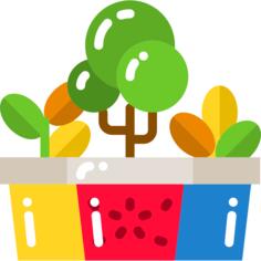 植物