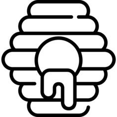 蜂窝