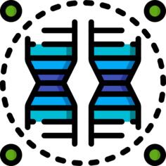 脱氧核糖核酸