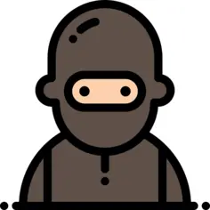 Burglar