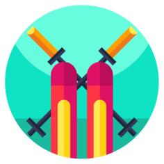 Skis