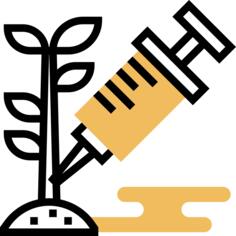 GMO