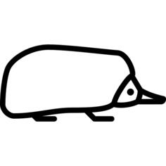 Echidna