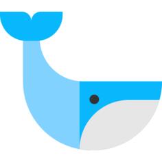 鲸