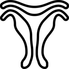 子宫