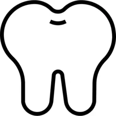 Teeth
