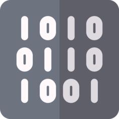 二进制代码