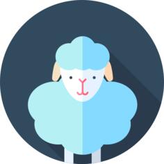 Sheep