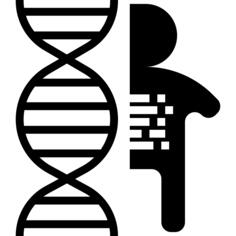人的