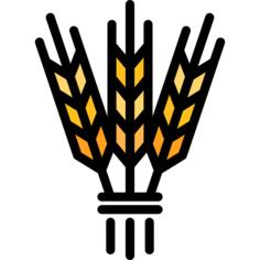 Hebrew