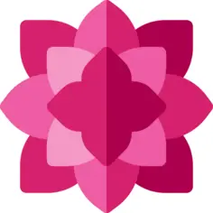 一品红
