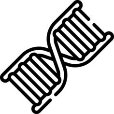 脱氧核糖核酸