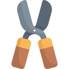 Scissors